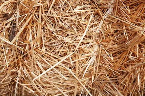 Hay background. Haystacks background, texture. Wheat gold hay in field. Hay p Stock Photos