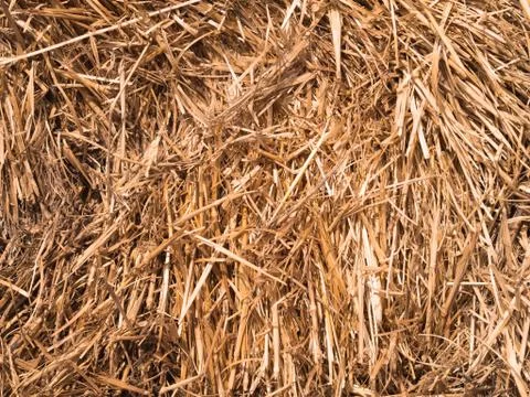 Hay background Foto stock