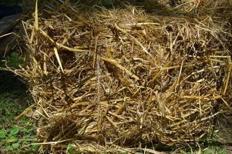 Hay as a background Stock Photos