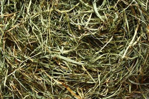 A hay background Stock Photos