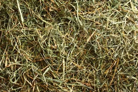 A hay background Stock Photos