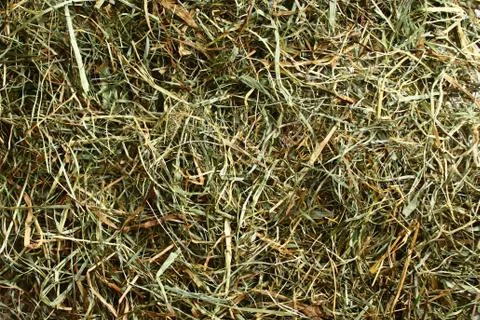 A hay background Foto stock