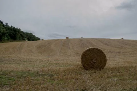 Hay Bail Side Stock Photos