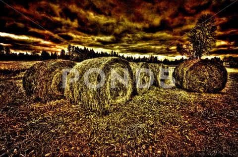Hay bails in a field Stock Photos