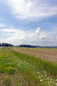 Hay bails in a field Stock Photos