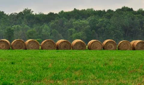 Hay bails in a field Stock Photos