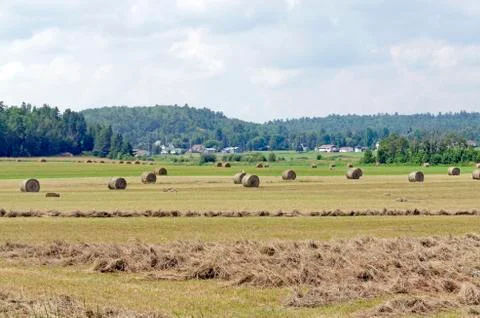 Hay bails in a field Foto stock