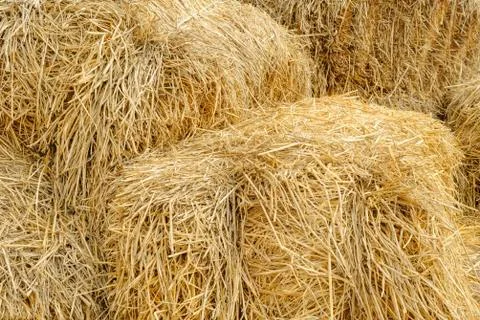 Hay bale background texture. Stock Photos