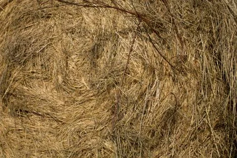 Hay in the Bale Closeup Stock Photos