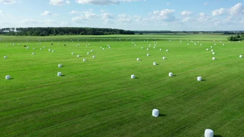 Hay bale collection process on lush green field Stock Footage 309955340