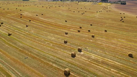 Hay bale on field, drone view. Field with hay and  haystack Video stock 161419746