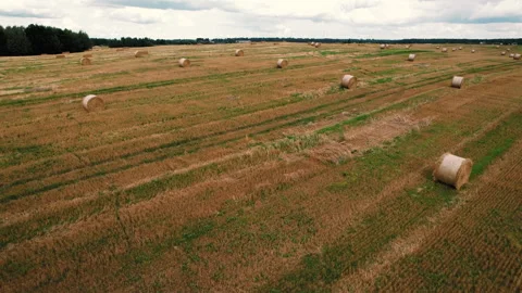 Hay bale on field, drone view. Field with hay and  haystack Stock Footage 167041580