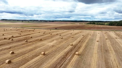 Hay bale on field, drone view. Field with hay and  haystack. Видео 213578434