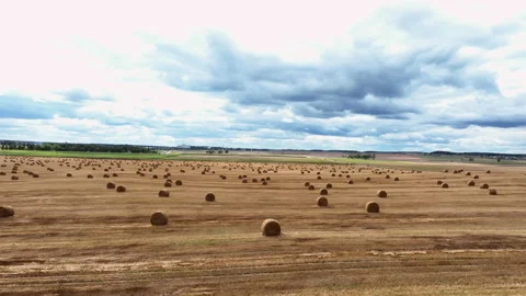 Hay bale on field, drone view. Field with hay and  haystack. Video stock 213579045