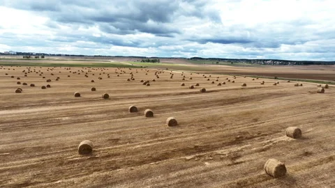 Hay bale on field, drone view. Field with hay and  haystack. Video stock 213579536