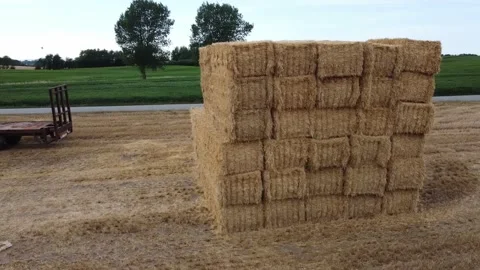 Hay bale on field, drone view. Field with hay and haystack. Agriculture in farm Stock Footage 219869162