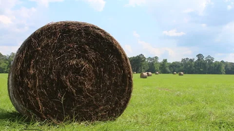 Hay Bale in a field 스톡 동영상 39963260