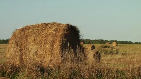 Hay bale in field Stock Footage 55570754