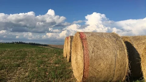 Hay bale in a field Stock Footage 77185587