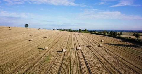 Hay bale field Stock Footage 91444389