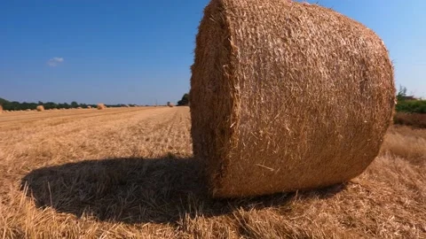 Hay bale in the field Stock Footage 229568767