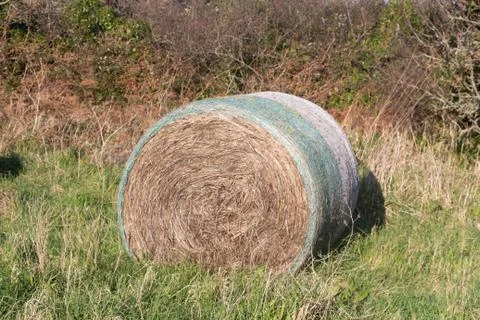 Hay bale in a field Foto stock