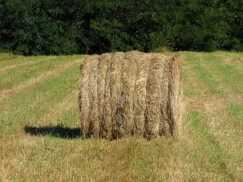 Hay bale in the field Stock Photos