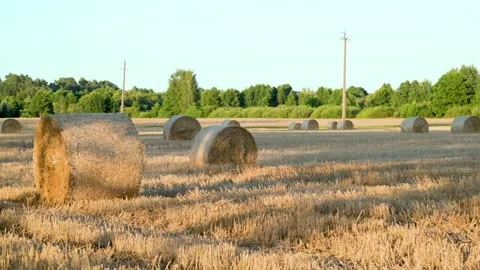 Hay bale fields and farmlands of Lithuania. Sunny summer evening. 库存影片 285463876