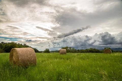 Hay bale in the fields of italy Stock Photos
