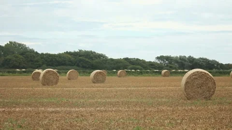 Hay Bale Video stock 8360044