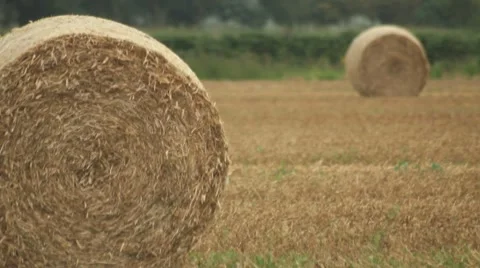 Hay Bale Video stock 8360211