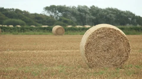 Hay Bale Video stock 8360277