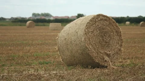 Hay Bale Video stock 8506768