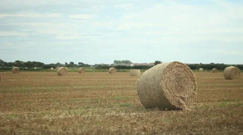 Hay Bale Video stock 8508072