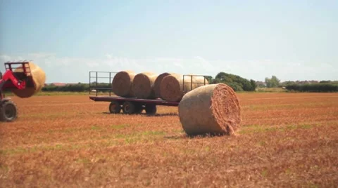 Hay Bale Video stock 8508445