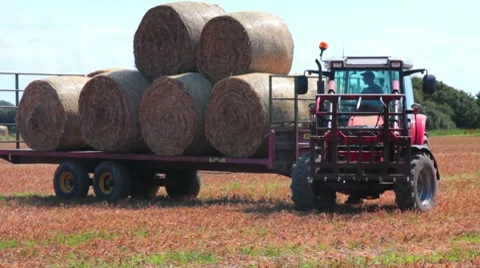 Hay Bale Video stock 8509388