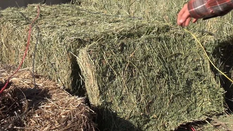 Hay Bale Stock Footage 110879365
