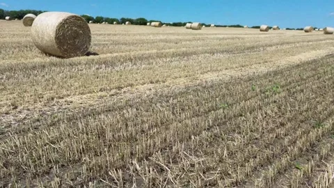Hay Bale Video stock 246820036