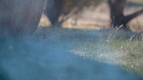 Hay bale on the grass Stock Footage 94880456