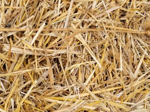 Hay Bale Pattern Stock Photos