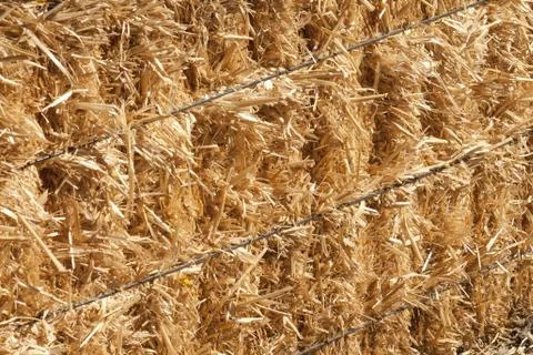 Hay Bale Stock-Fotos
