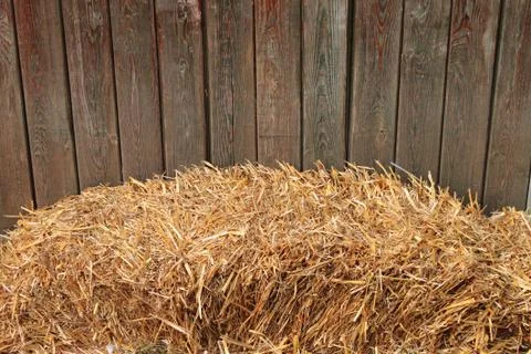 Hay bale Stock Photos