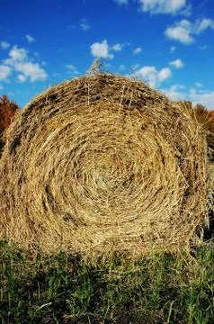 Hay bale Foto stock
