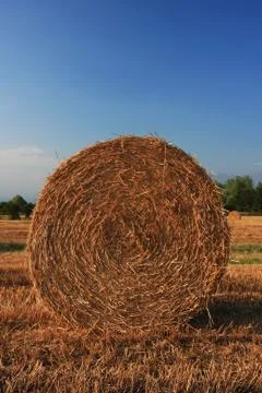Hay bale Foto stock