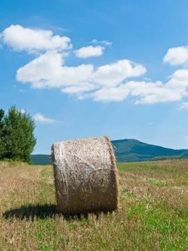 Hay bale Stock Photos