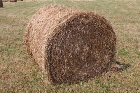 Hay Bale Stock Photos