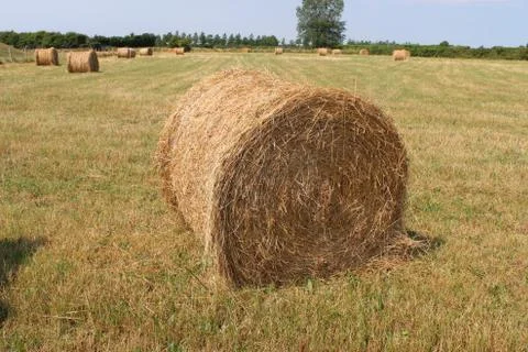 Hay Bale Stock Photos