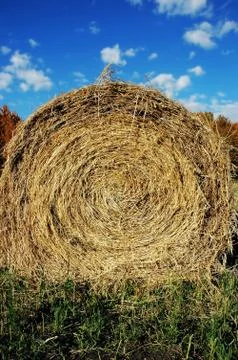 Hay Bale Stock Photos