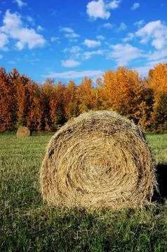 Hay Bale Stock Photos