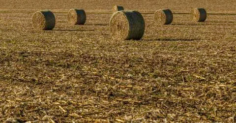 Hay bale 스톡 사진